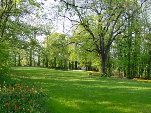 Stagioni_03-300x225